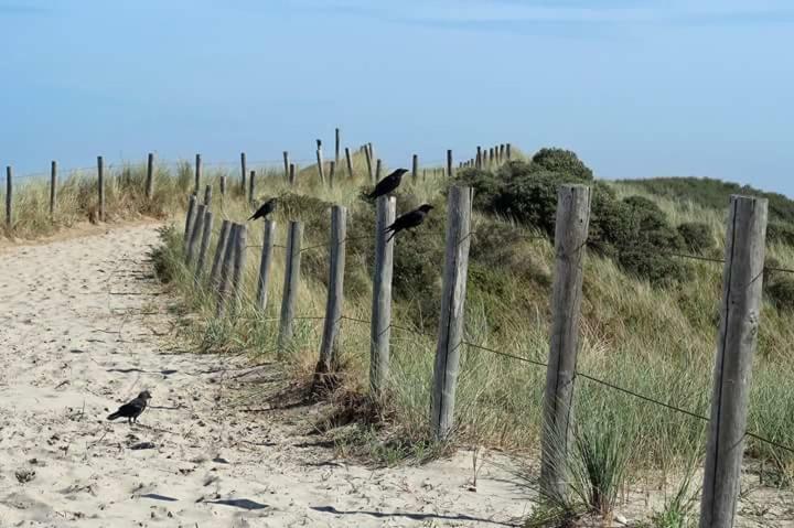 Me Oissie Villa Egmond aan Zee Eksteriør billede